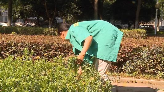 綠化工