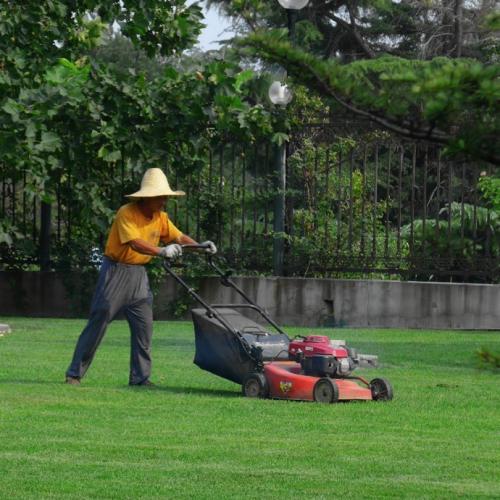綠化工