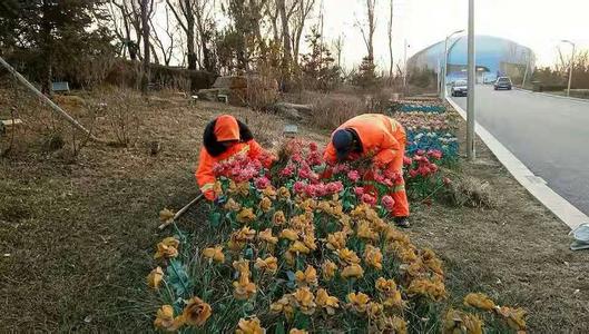 綠化工