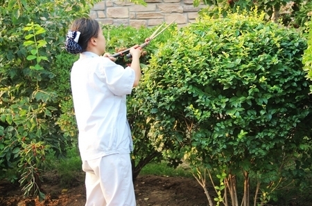 園林綠化工